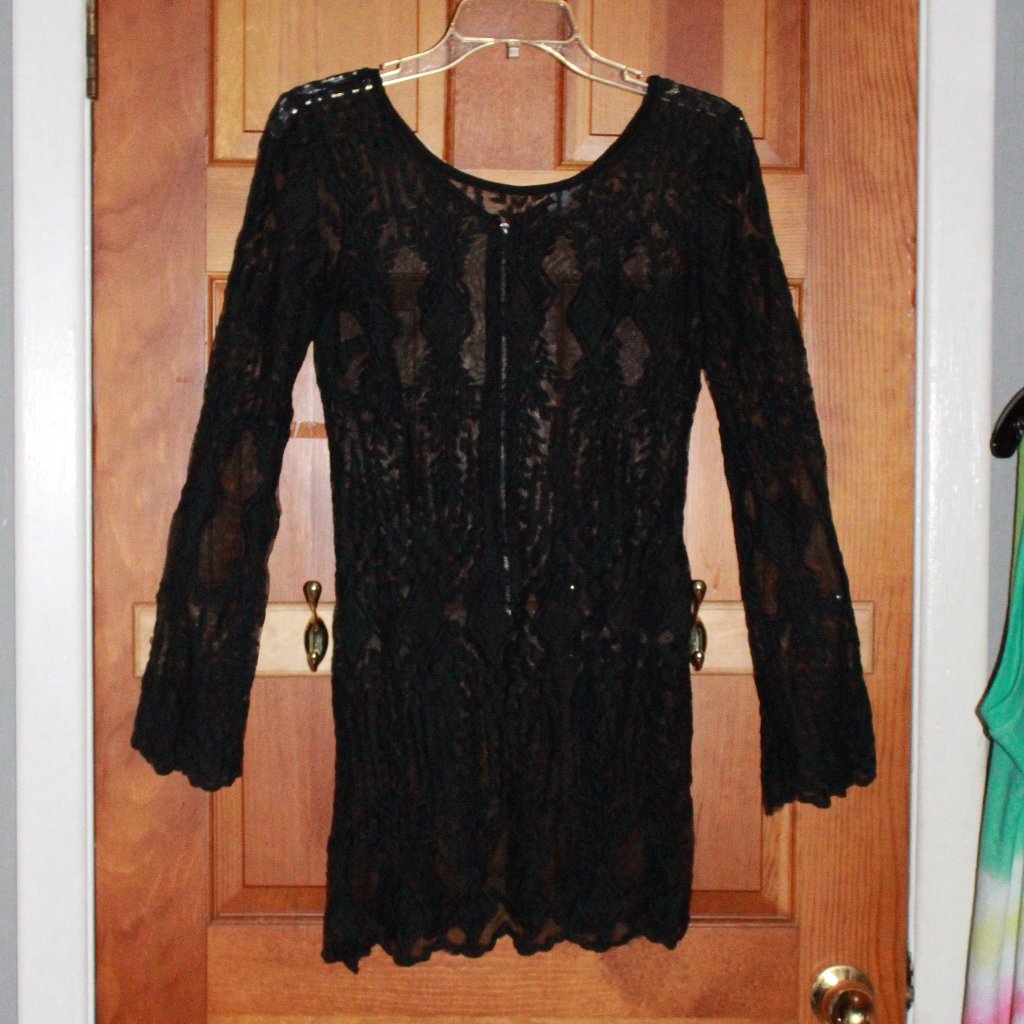 Ecote Mesh & Embroidery See Through Mini Dress